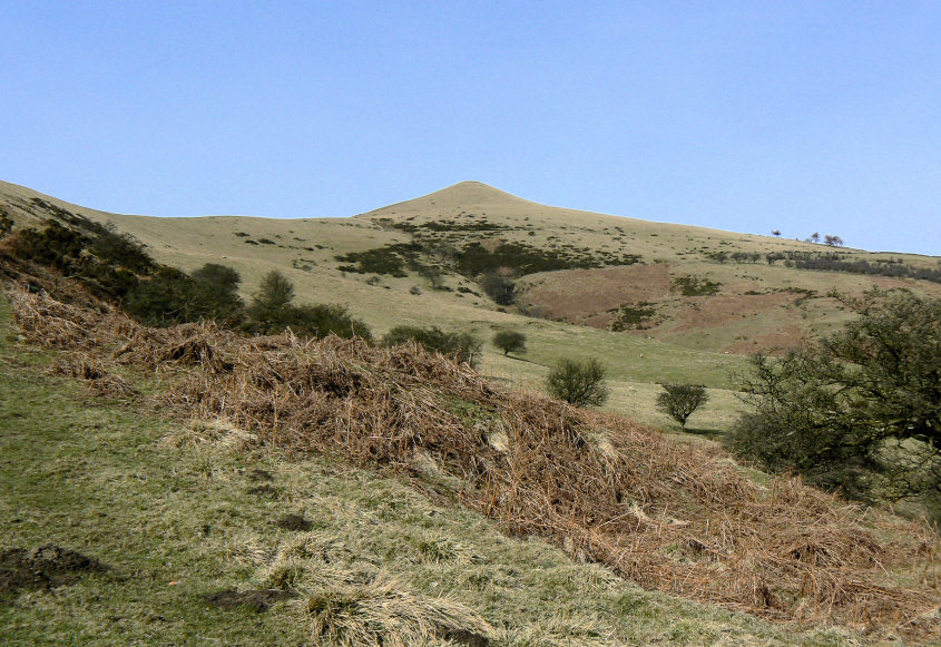 Lose Hill Lose Hill